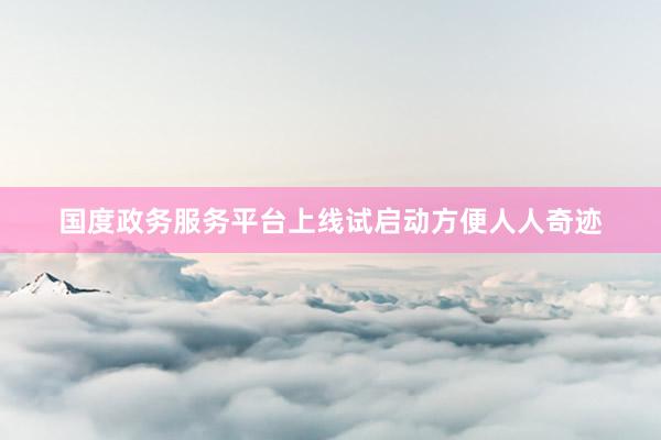 国度政务服务平台上线试启动方便人人奇迹