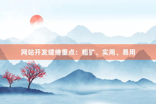 网站开发缱绻重点：粗犷、实用、易用