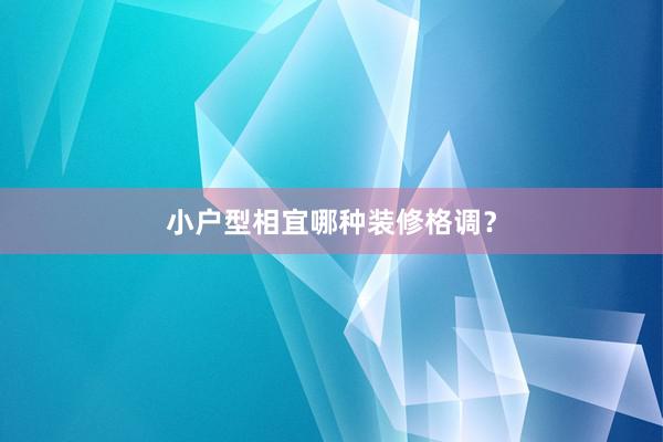 小户型相宜哪种装修格调？