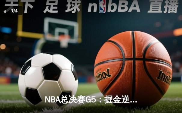 NBA总决赛G5：掘金逆转热火夺赛点 约基奇41分创历史纪录 - 3